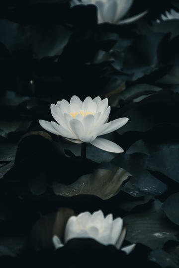 说唱大爷整顿老年游